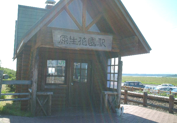 小清水原生花園だよ!