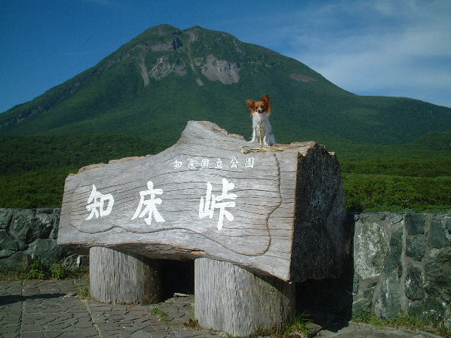 綺麗な景色!